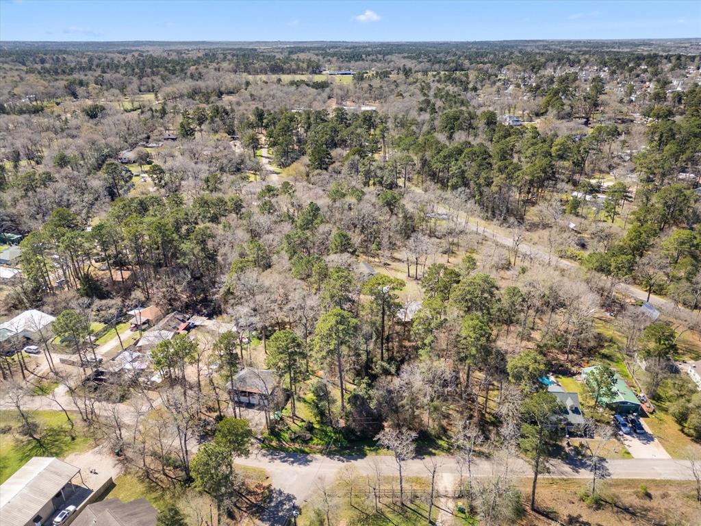 410 Dogwood Trail, Conroe, Texas image 3