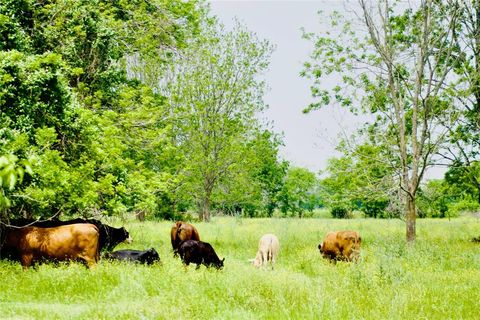 TBD 1 Fm 1887 Road Hempstead TX 77445