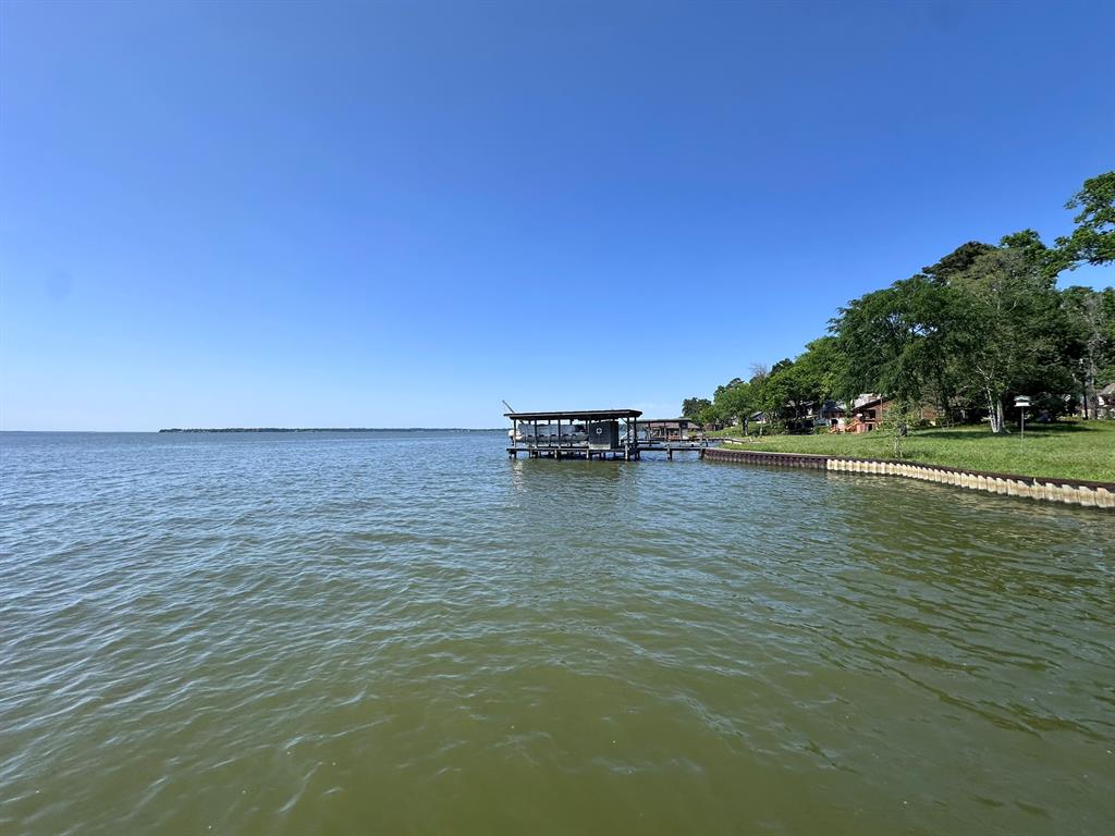 311 Shady Lane, Livingston, Texas image 1