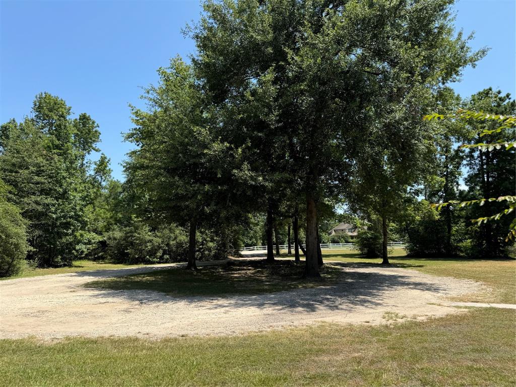 427 Trace Way Drive, Magnolia, Texas image 10
