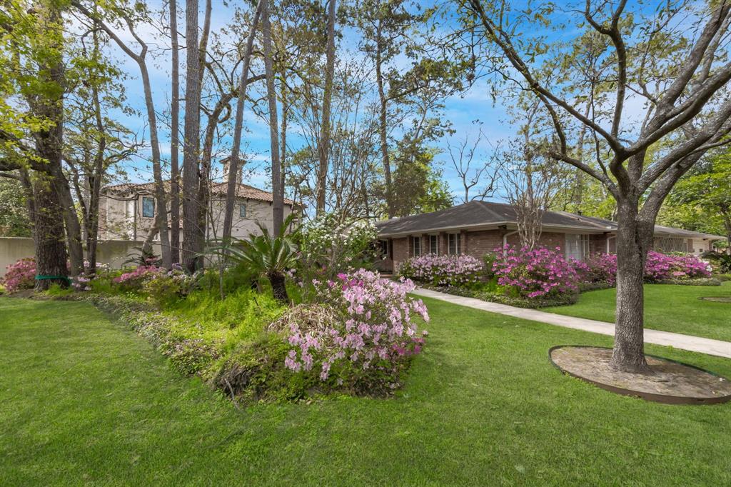 10314 Memorial Drive, Houston, Texas image 5