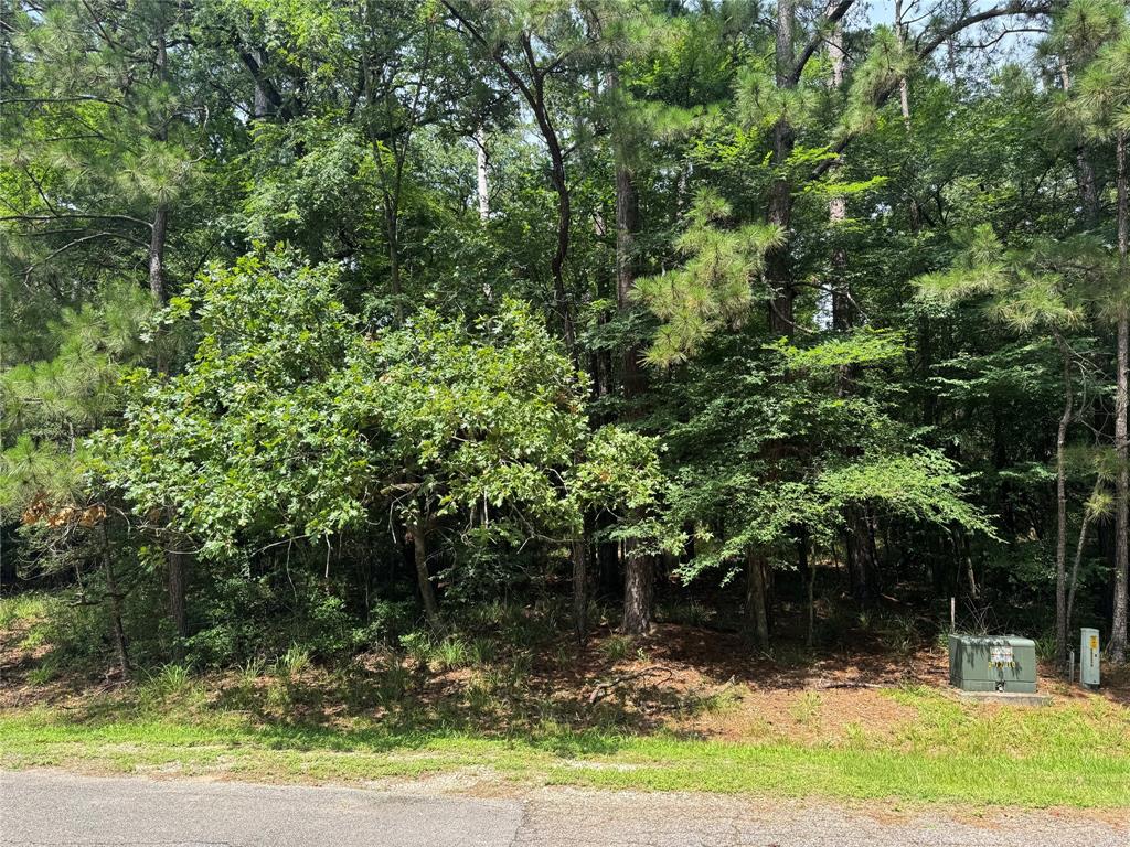 75 Green Tree Drive, Coldspring, Texas image 2