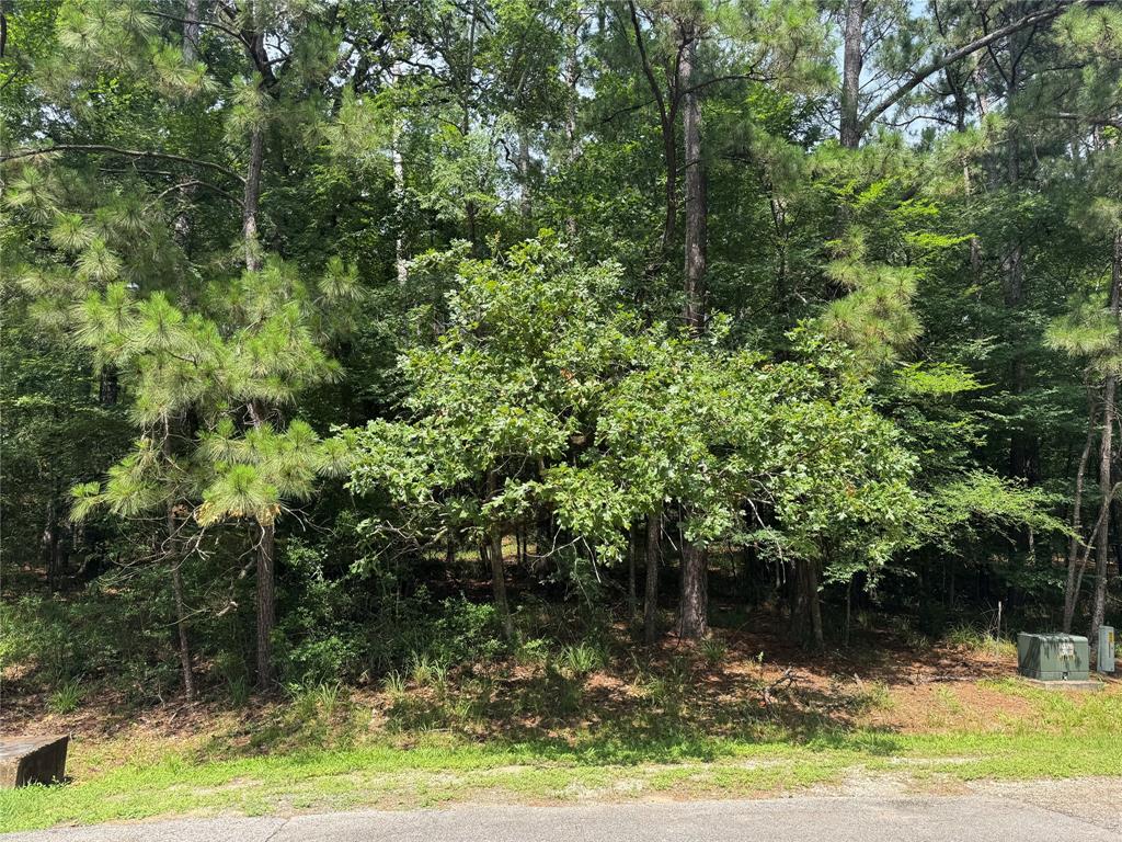75 Green Tree Drive, Coldspring, Texas image 3