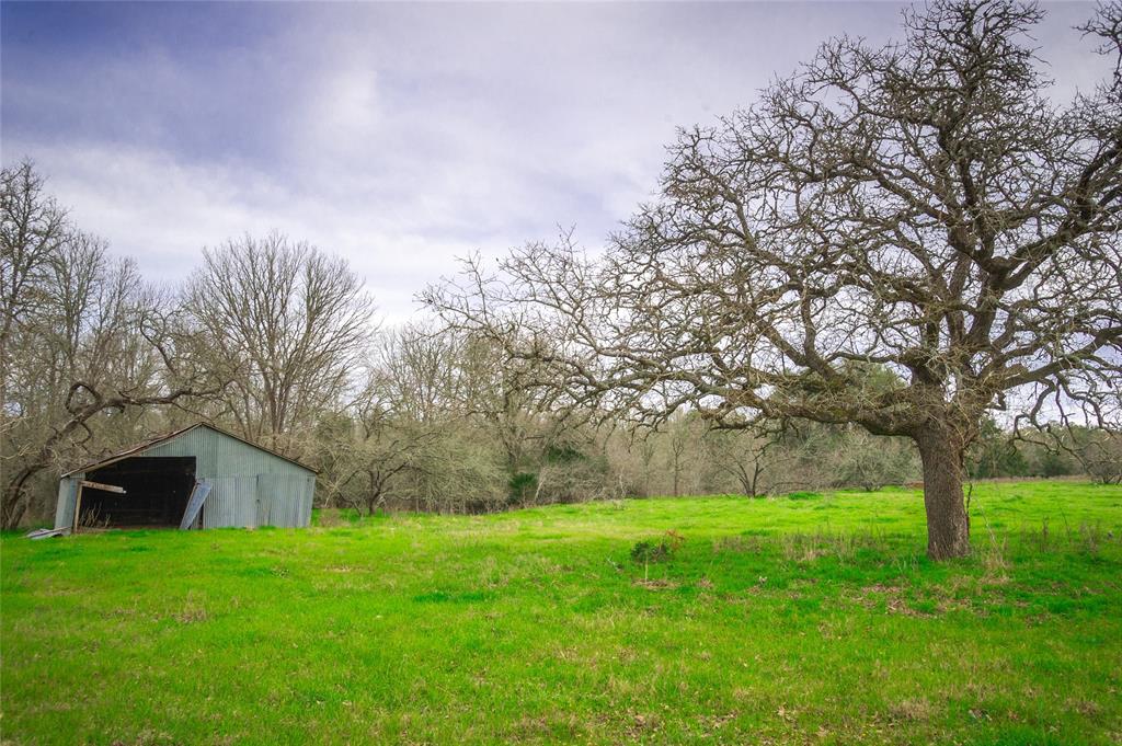 Tract 2 Airport Road, La Grange, Texas image 8