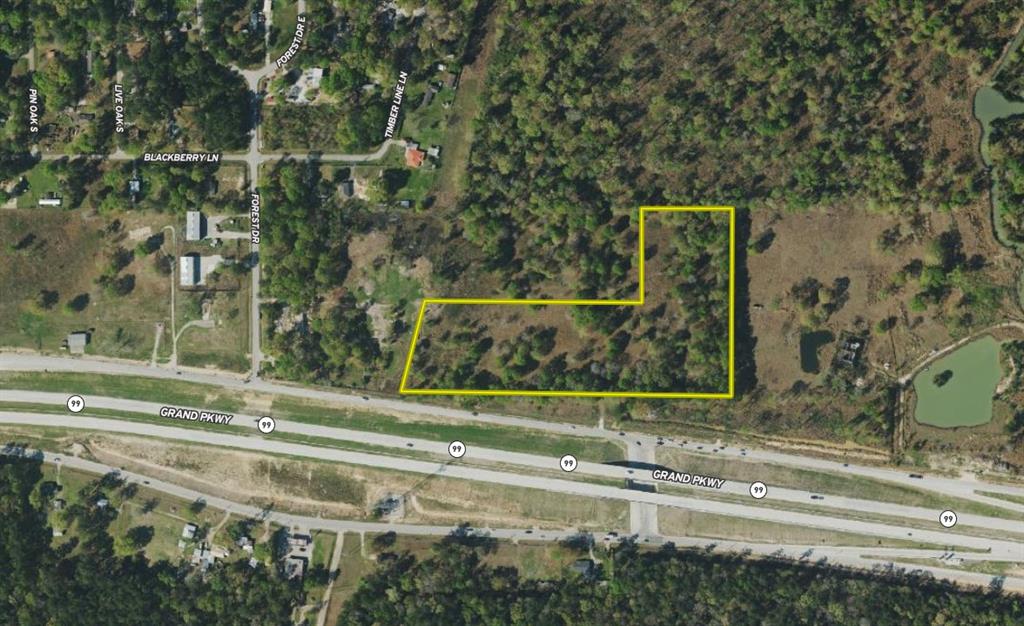 000 Forest Dr, New Caney, Texas image 5