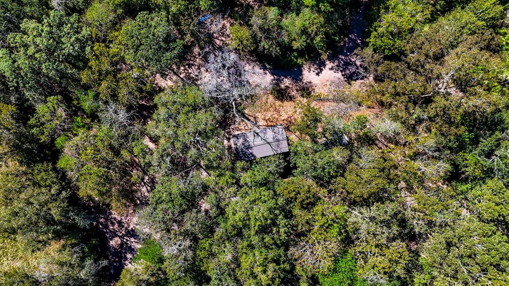 614 River Lakes Rd Rd, Goodrich, Texas image 9