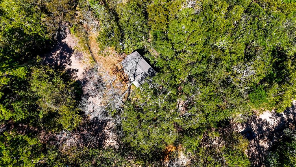 614 River Lakes Rd Rd, Goodrich, Texas image 4
