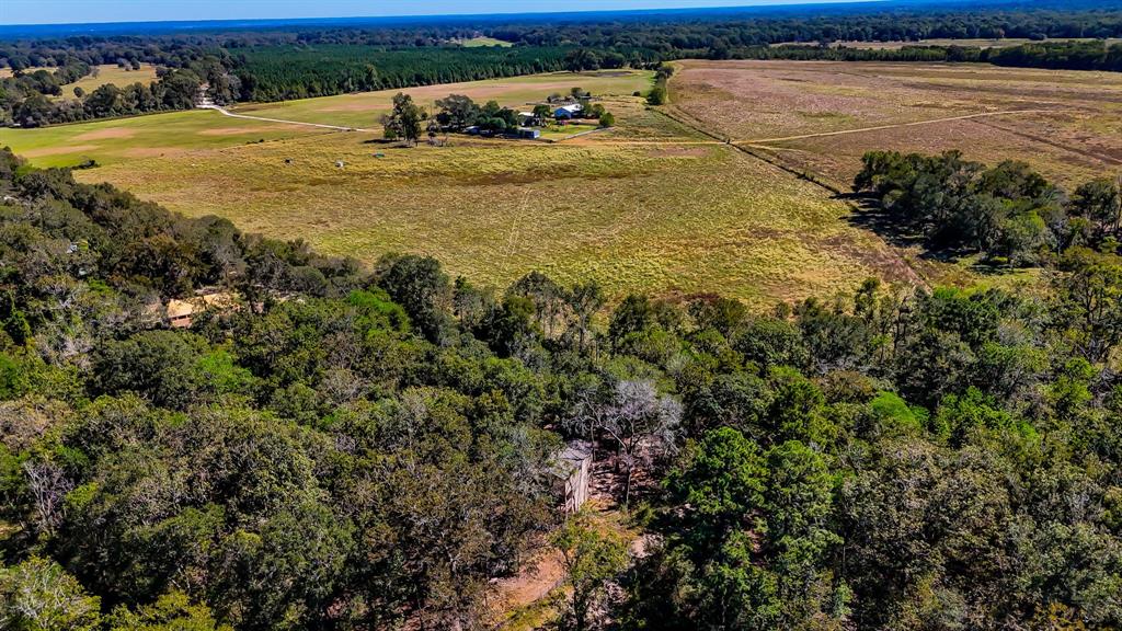 614 River Lakes Rd Rd, Goodrich, Texas image 3