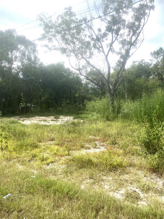 Lot 21 W Rockdale Street, Trinity, Texas image 6