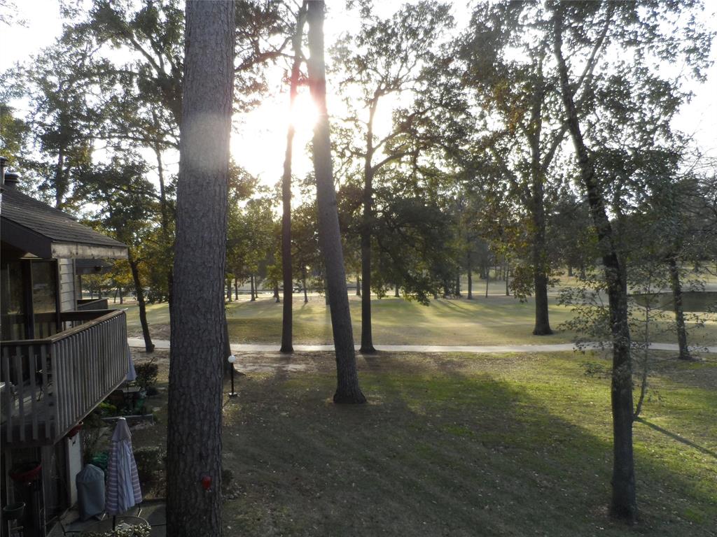 12900 Walden Road #1004J, Montgomery, Texas image 34