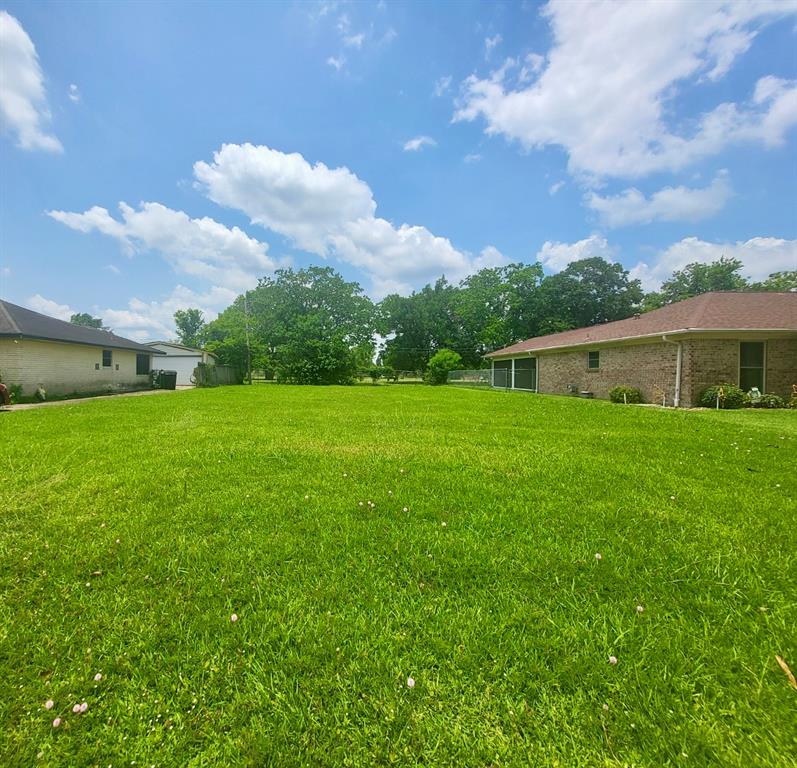 11910 Southview Street, Houston, Texas image 1