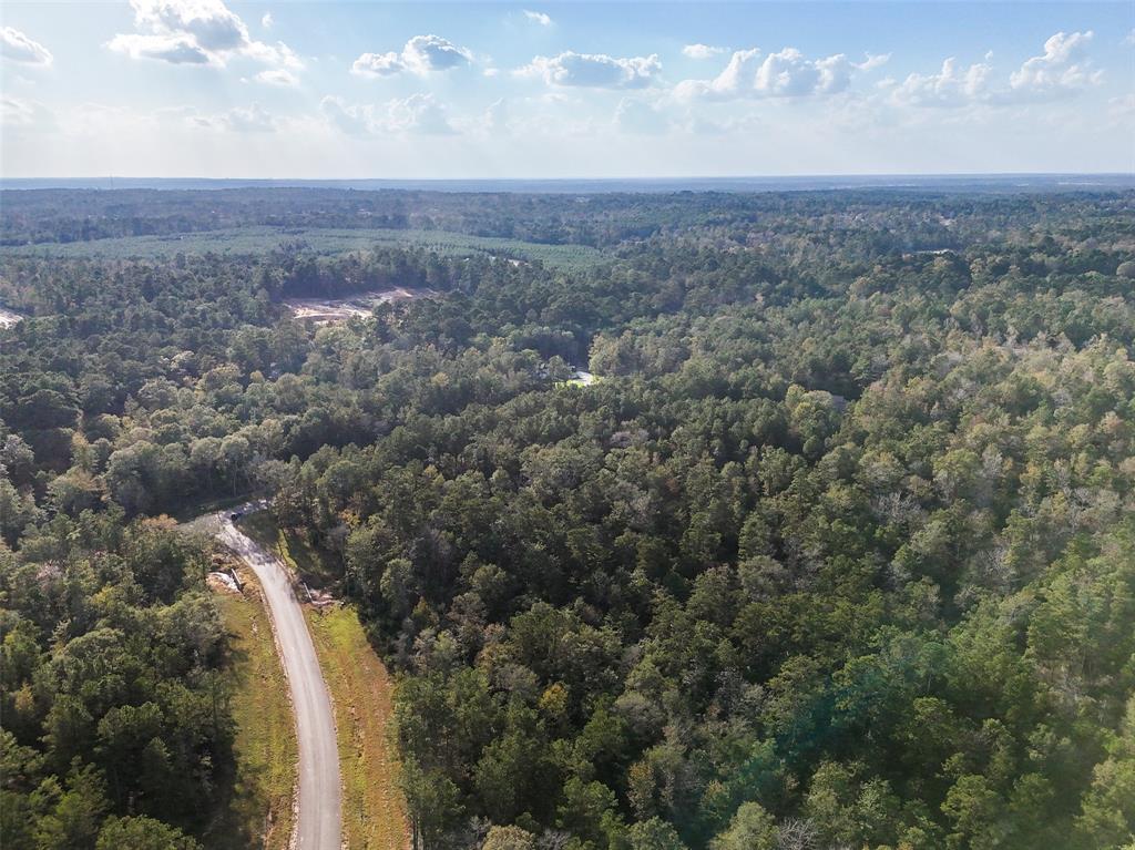 11615 Dawn Tree Lane, Willis, Texas image 8