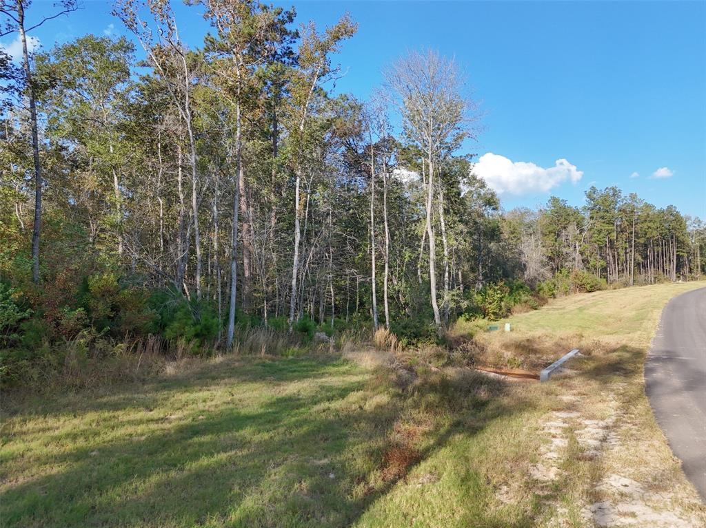 11615 Dawn Tree Lane, Willis, Texas image 6