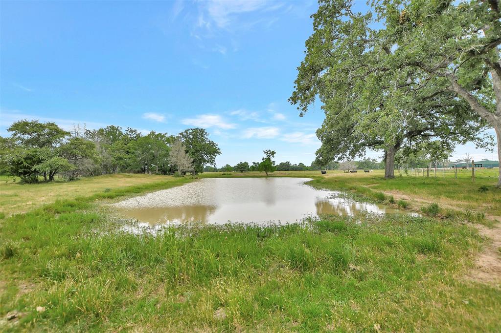 23616 Brazos Estates Road, Hempstead, Texas image 49