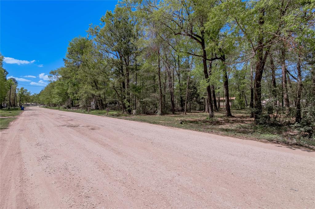 TBD Meridian, Livingston, Texas image 13