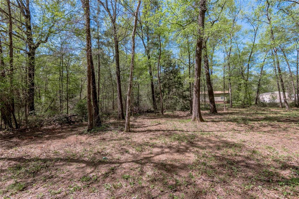 TBD Meridian, Livingston, Texas image 5