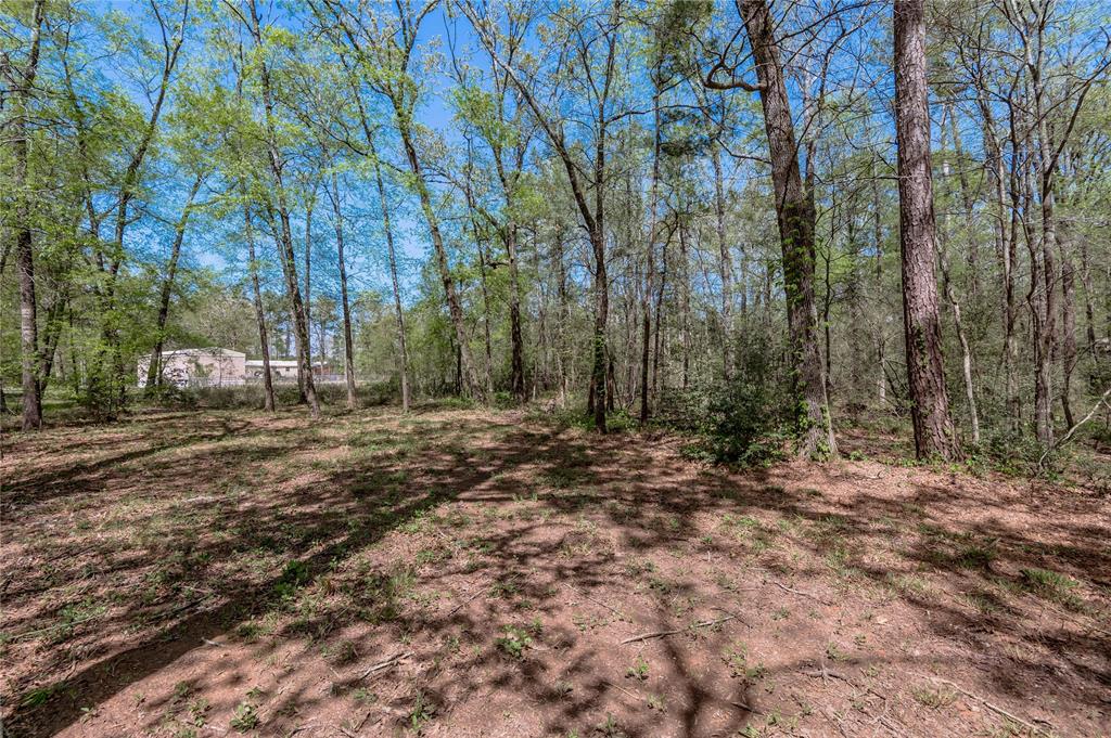 TBD Meridian, Livingston, Texas image 6