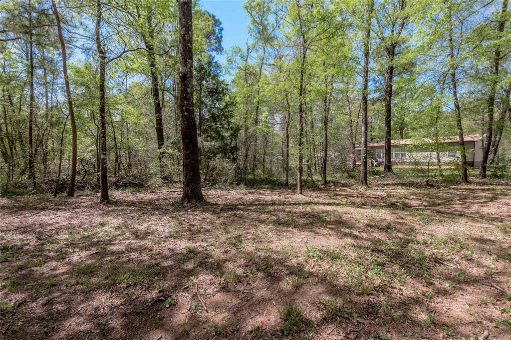 TBD Meridian, Livingston, Texas image 9