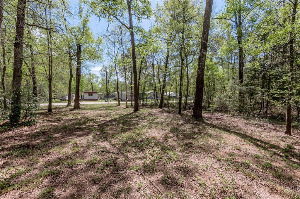 TBD Meridian, Livingston, Texas image 8
