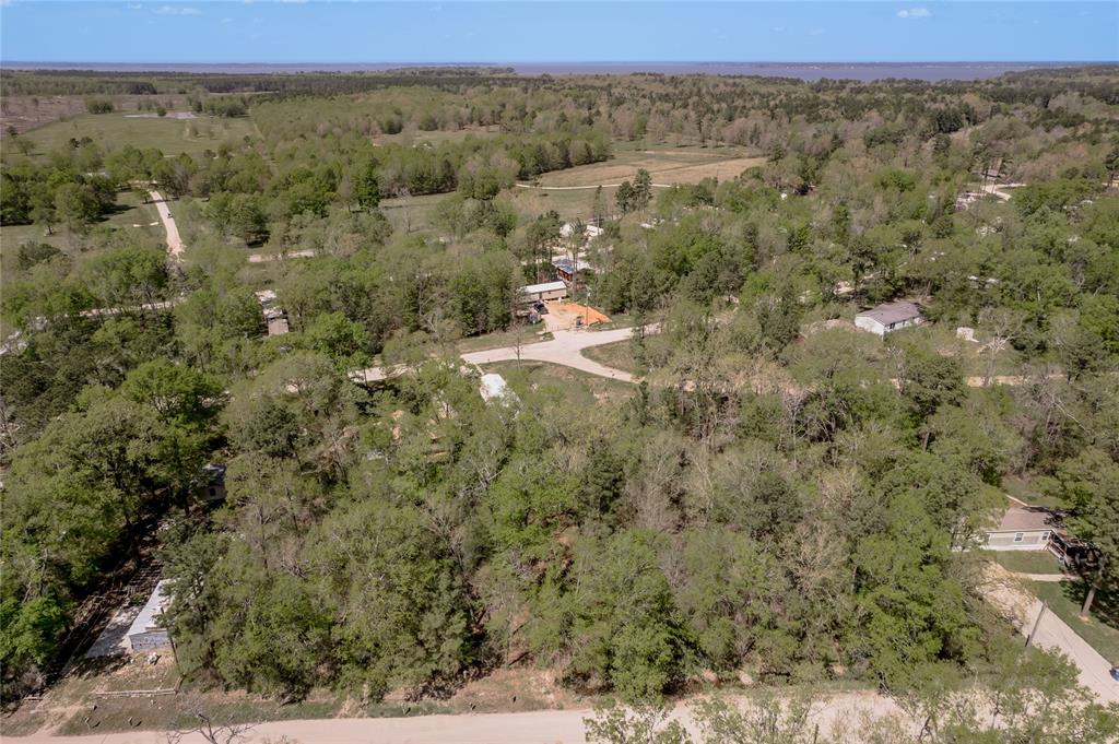 TBD Meridian, Livingston, Texas image 18