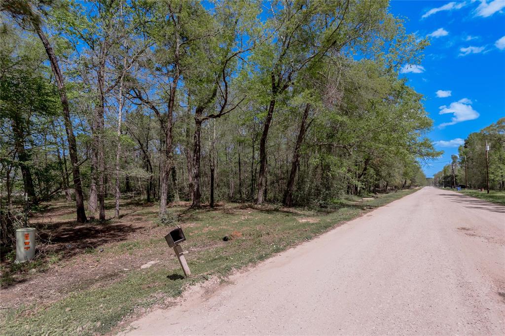 TBD Meridian, Livingston, Texas image 12