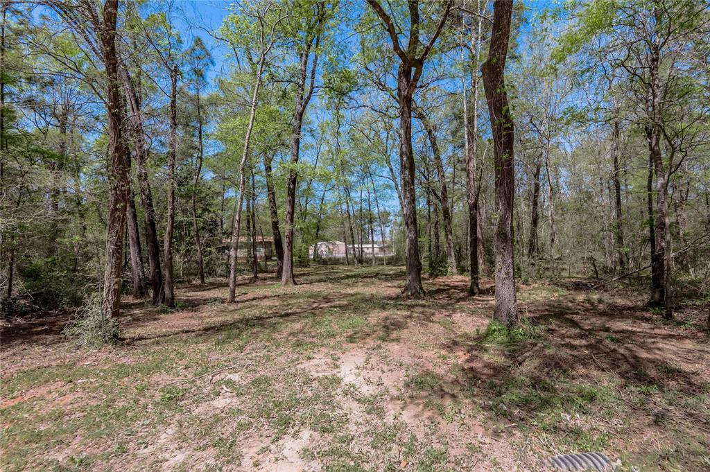TBD Meridian, Livingston, Texas image 3