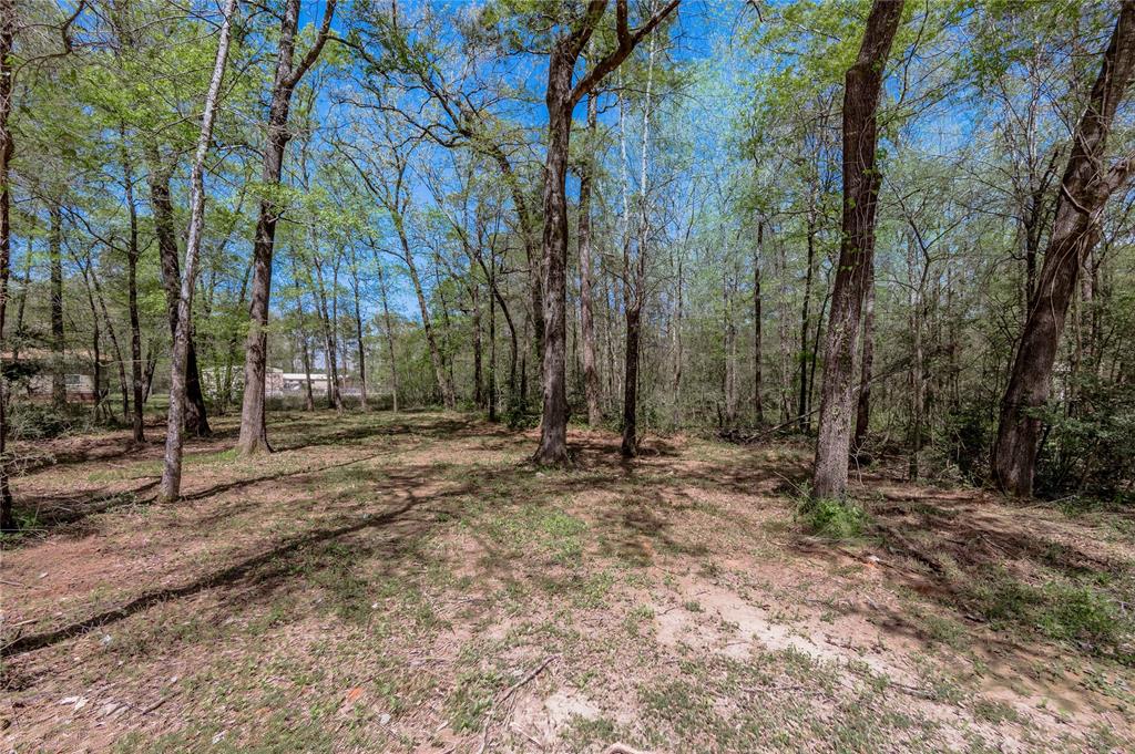 TBD Meridian, Livingston, Texas image 4