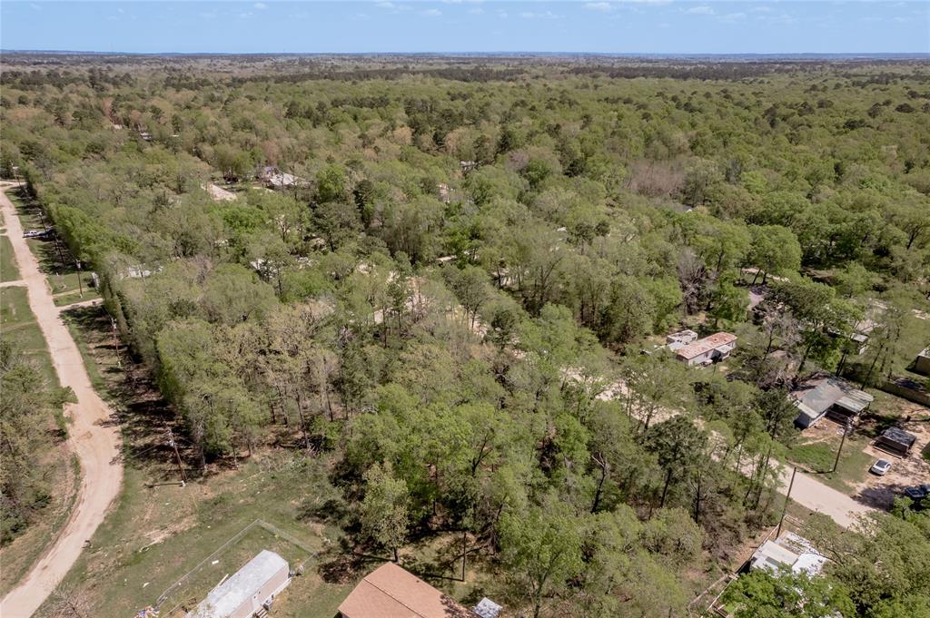 TBD Meridian, Livingston, Texas image 21
