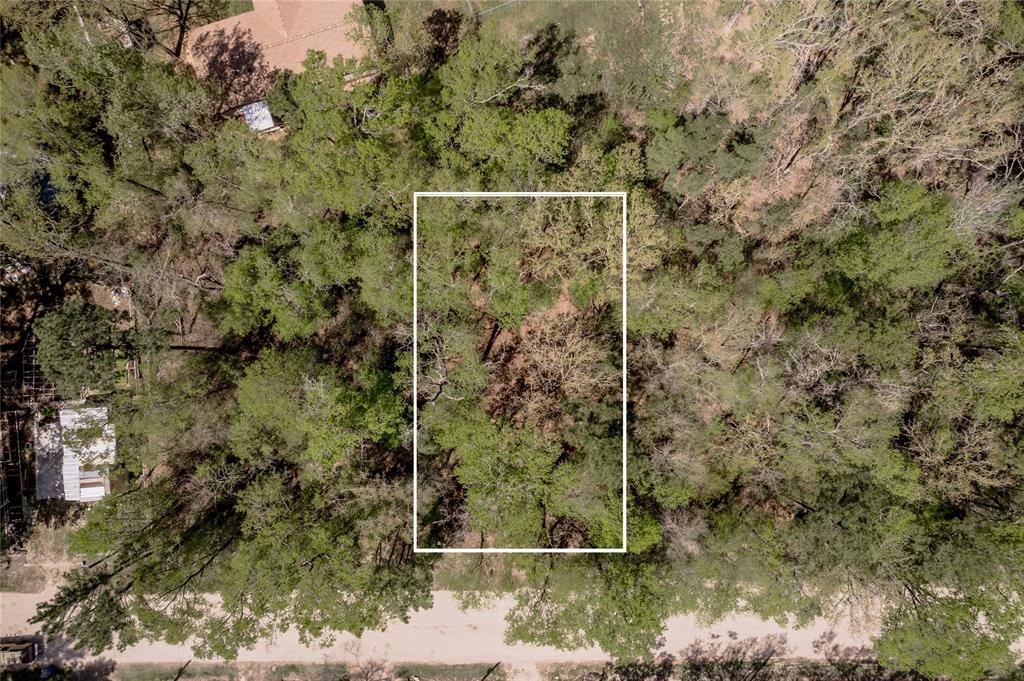 TBD Meridian, Livingston, Texas image 2
