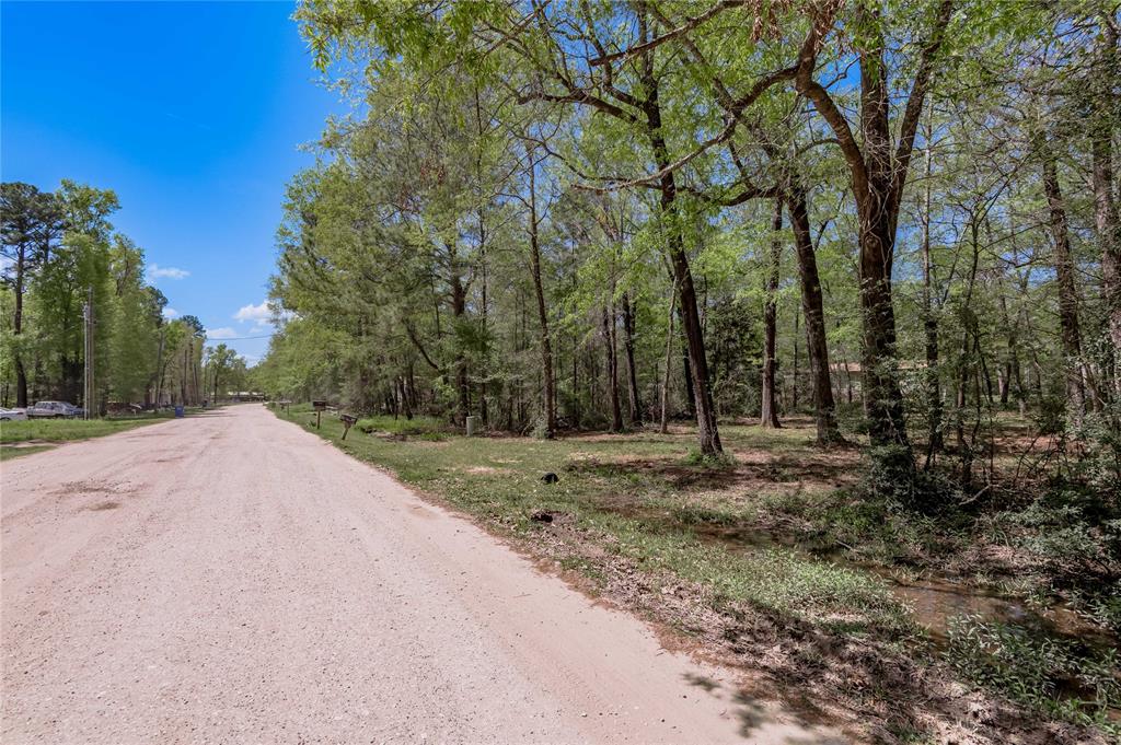 TBD Meridian, Livingston, Texas image 10