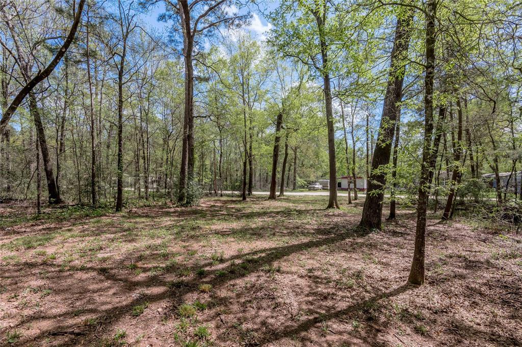 TBD Meridian, Livingston, Texas image 7