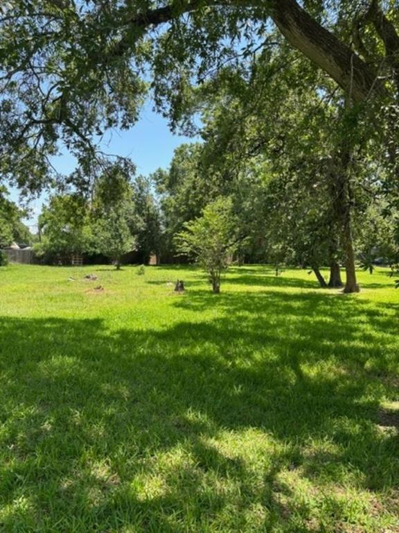 434 S Shady Lane, La Porte, Texas image 8