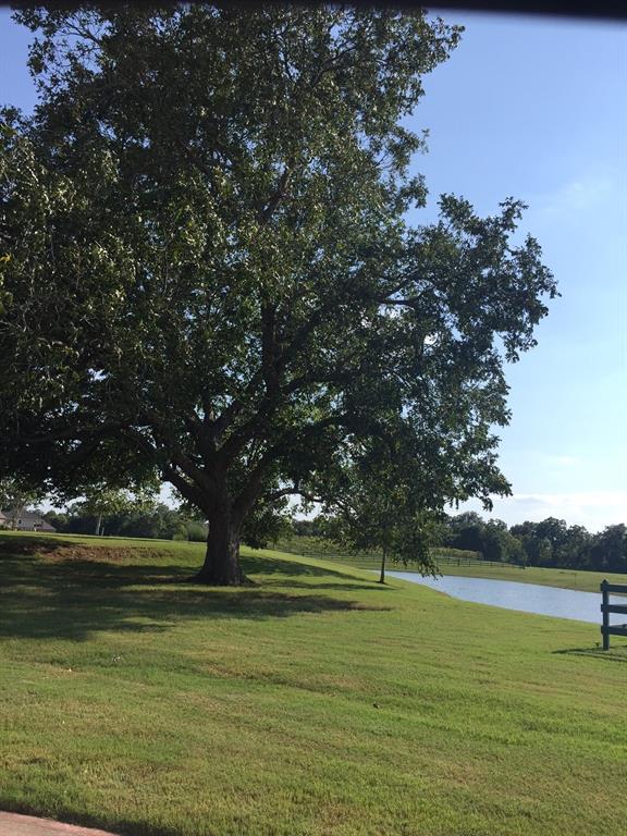 30222 Gold Finch Court, Fulshear, Texas image 8