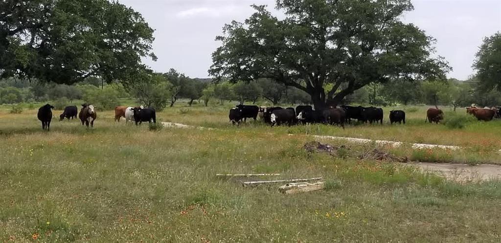 Lot 43 Pecan Valley Drive, Energy, Texas image 7