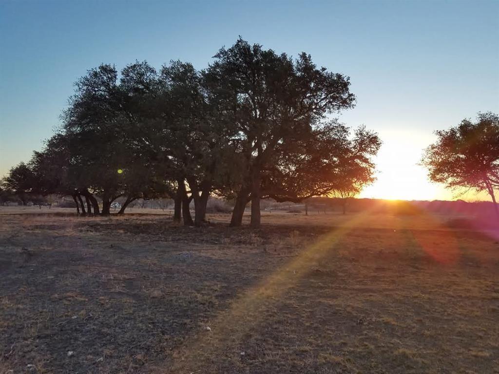 Lot 43 Pecan Valley Drive, Energy, Texas image 18