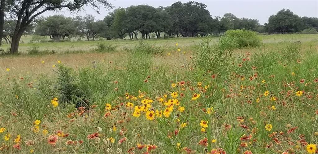Lot 43 Pecan Valley Drive, Energy, Texas image 5