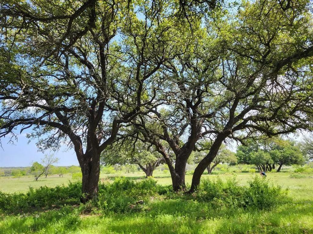 Lot 43 Pecan Valley Drive, Energy, Texas image 3