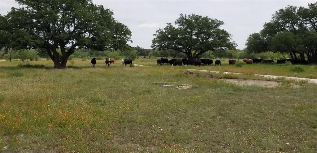 Lot 43 Pecan Valley Drive, Energy, Texas image 17
