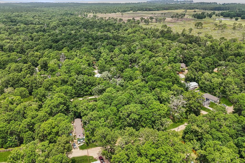 336 Ithica, Livingston, Texas image 8