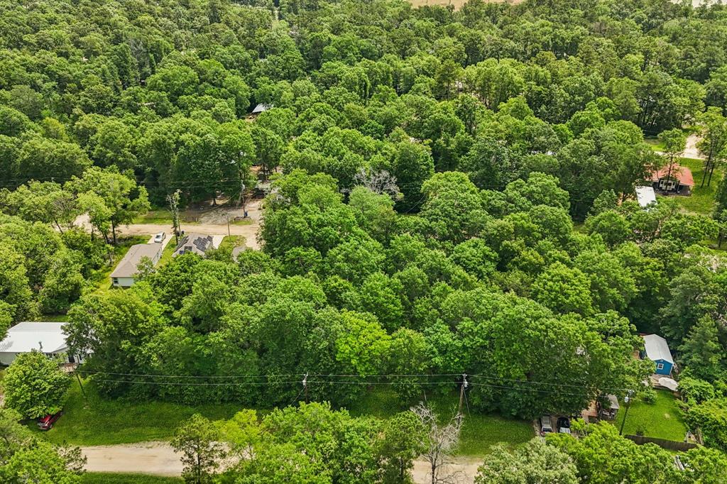 336 Ithica, Livingston, Texas image 3