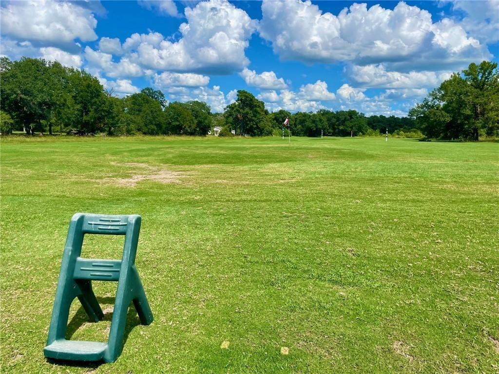 187 Golfview Drive, Hilltop Lakes, Texas image 32