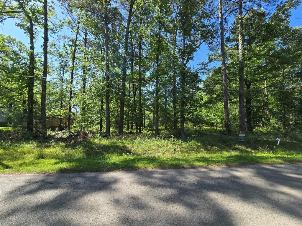 21662 Baptist Encampment Road, New Caney, Texas image 1
