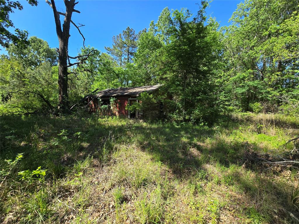 21662 Baptist Encampment Road, New Caney, Texas image 6