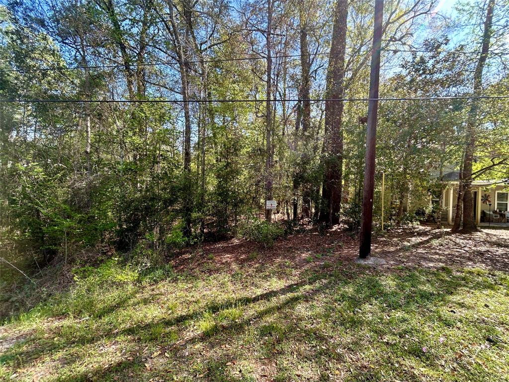 Lot 77-B Royal Lake Drive, Conroe, Texas image 3