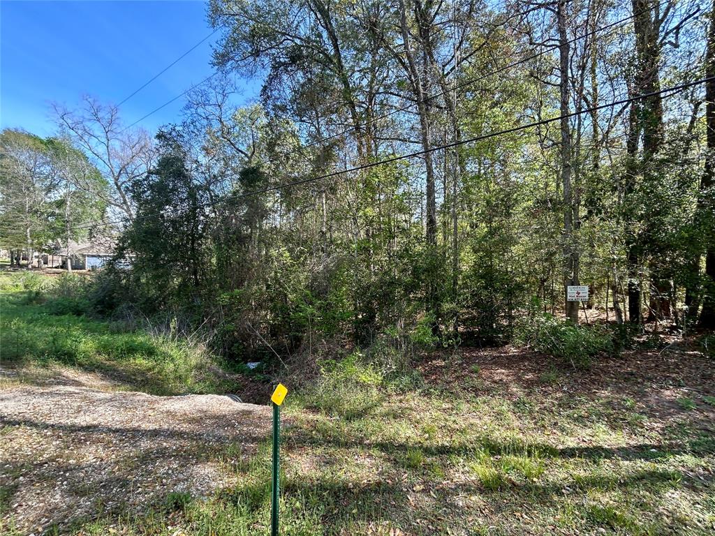 Lot 77-B Royal Lake Drive, Conroe, Texas image 2