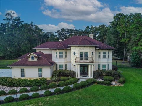 19523 Riverwalk Drive Porter TX 77365