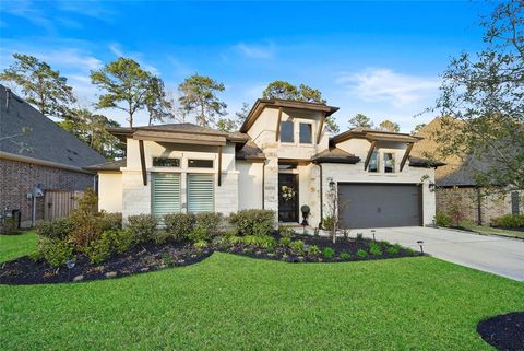 706 Carina Gaze Court Willis TX 77318