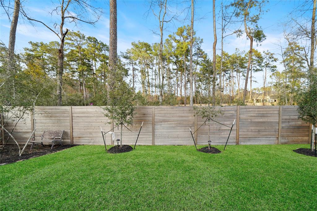 706 Carina Gaze Court, Willis, Texas image 25
