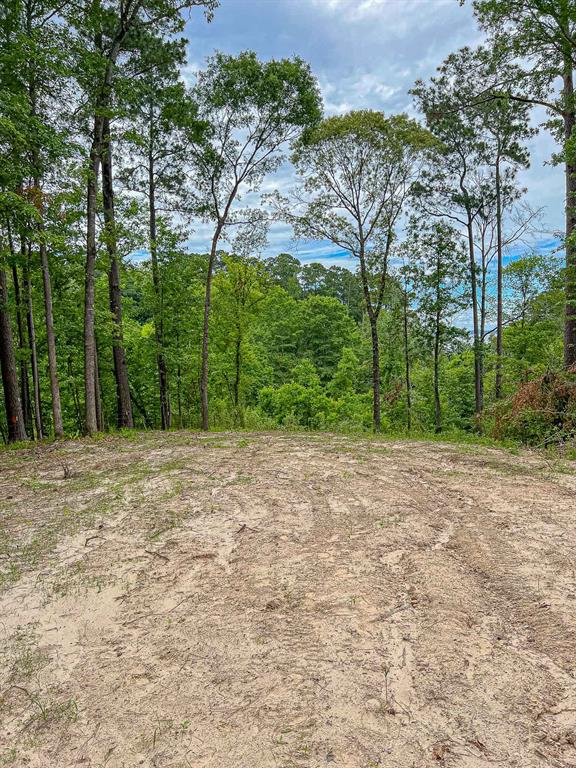 000 Moore Farm Road, Zavalla, Texas image 9