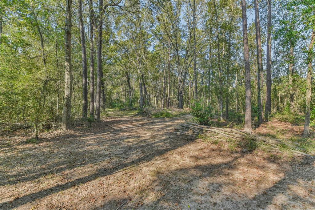 24237 Creekwood Drive, Splendora, Texas image 32